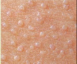 ��ƽ������Ʒ���