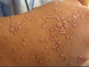 ������ƽ���ԭ������Щ