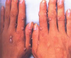 ��ƽ�����������