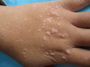 �ֱ��ϳ��б�ƽ����ô����